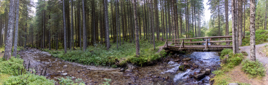 Flowing water in a stream (Ingering) in Styria, Austria