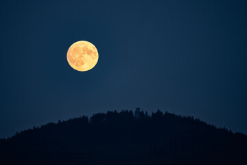 Bright full moon glowing in the dark blue night sky over a dark forest hill silhouette. © Stanislav