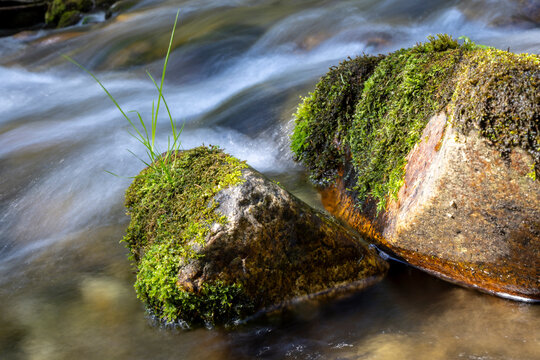 Flowing water in a stream (Ingering) in Styria, Austria