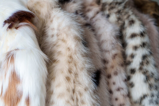 Close up of soft faux fur coats with animal print textures