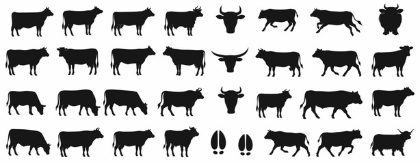 Obraz premium Cow Silhouette Collection with Farm Animal Designs