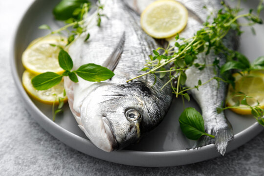Fish raw dorado sea bream with lemon slices and herbs on grey background