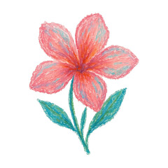 Obraz premium PNG Colorful hand-drawn flower illustration.