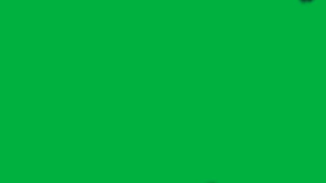 Halloween flying bat swarm transition wipe animation on chroma key green screen