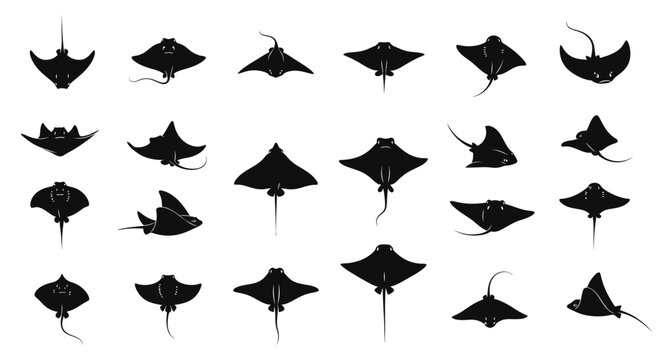 Black silhouettes of various stingrays on white background