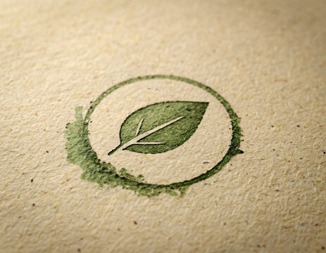 Close Leaf Paper Circle Stock Photography with Natural Lighting and Detail