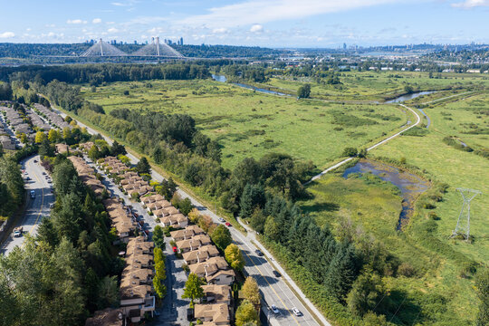 Aerial View of Suburban Homes, Wetlands and Cable-Stayed Bridge Near Port Coquitlam, Vancouver BC