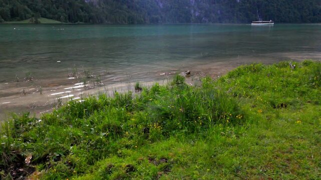 Obersee Grassy Shore and Sailboat Aerial Berchtesgaden Germany