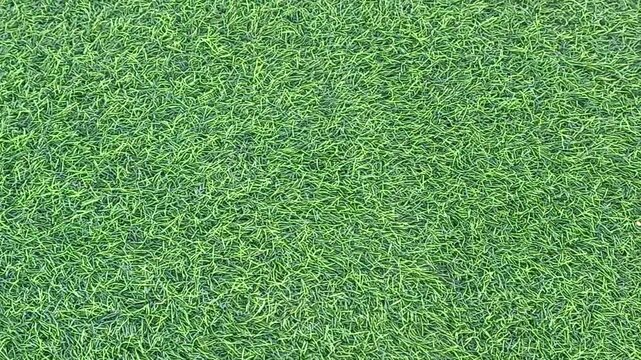 Green grass texture in horizontal stripes with black void background cinematic motion