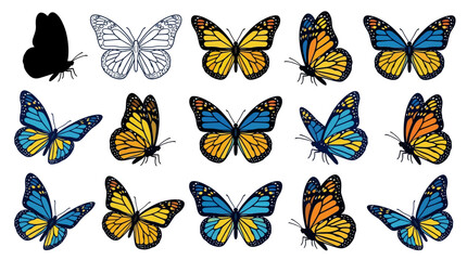 Collection of colorful butterflies in various styles and poses on white © Fariaislam
