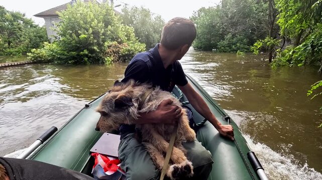 Male volunteer holds on hands abandoned dog sailing on boat at flooded city in Ukraine. Rescue workers saving animals from Kherson after explosion of dam. Kind people evacuating homeless pets