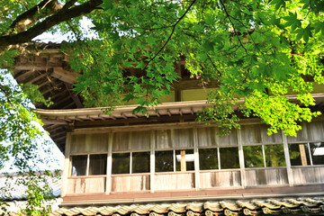 新緑に囲まれた東桂園の日本庭園（新潟県関川村） © UI_forever