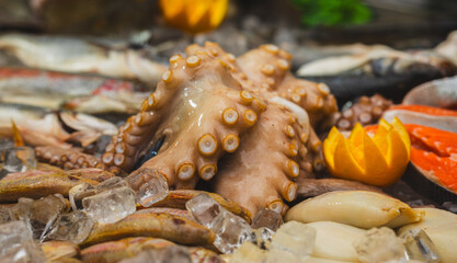 Fresh octopus and raw seafood on ice at fish market stall. Close up of tentacles with fish, squid and lobster. Healthy food, protein nutrition and seafood retail trade concept. © Anton Dios
