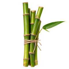 Fototapeta premium Fresh green bamboo stems tied with twine isolated on a transparent background.