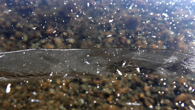 Transparent lake ice reveals cracks and lakebed detail, creating a glasslike frozen surface. Clear sheeted water shows blue fractures and crystalline texture across a smooth winter layer.