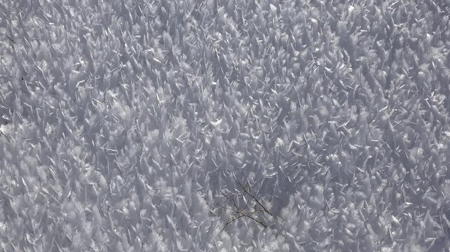 Hoarfrost crystals cover a frozen surface, forming delicate winter patterns in white ice. Rime texture creates an abstract icy background with intricate geometry and subzero detail.