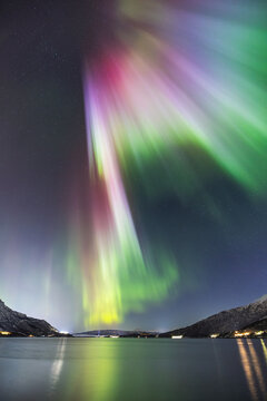 Bright pink, red and green northern lights rise dramatically above fjord near Narvik