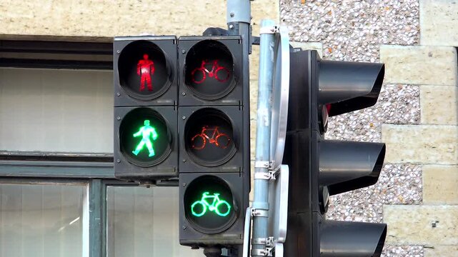Bicycle traffic signal light stands at urban crossing with road safety icon city detail. Cycle stoplight controls bike lane movement, modern street equipment scene transport infrastructure.