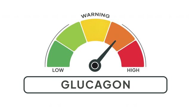 Glucagon Level Gauge Animation from Low to High Indicator on Medical Hormone and Blood Sugar Regulation Background Motion Graphics