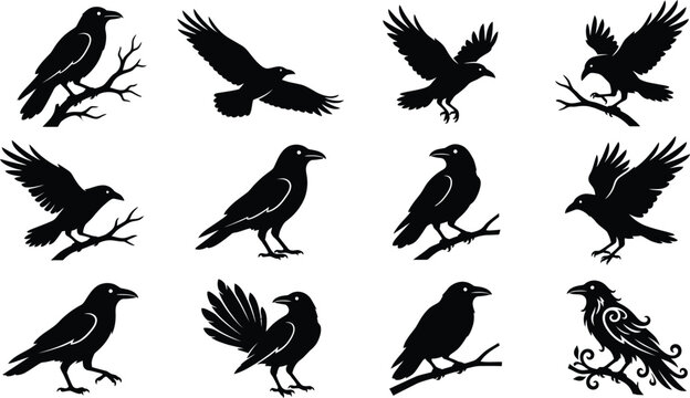 A collection of spooky black ravens in various poses perfect for halloween designs and eerie artwork