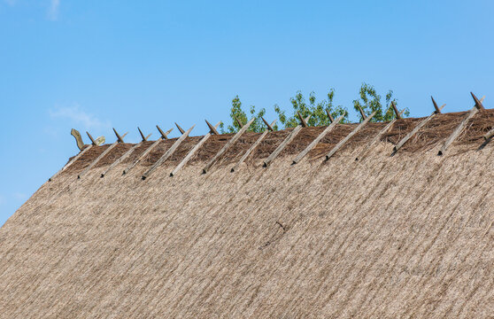 Traditional straw thatched roof ridge with wooden poles in Podlasie, Poland