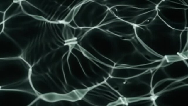 Abstract water caustic ripples on black background. Shimmering liquid surface texture. Dark pool light reflections for cinematic overlays.