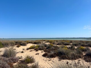 View from the hiking trail Sendero Punta del Boquerón across dunes and brackish land to the Caño de Sancti Petri between Chiclana de la Frontera, San Fernando and Cadiz, Andalusia, Spain © keBu.Medien