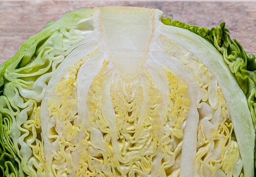 Detailed close up macro photo of fresh raw green savoy cabbage cut in half showing internal leaf structure and core for healthy organic food background