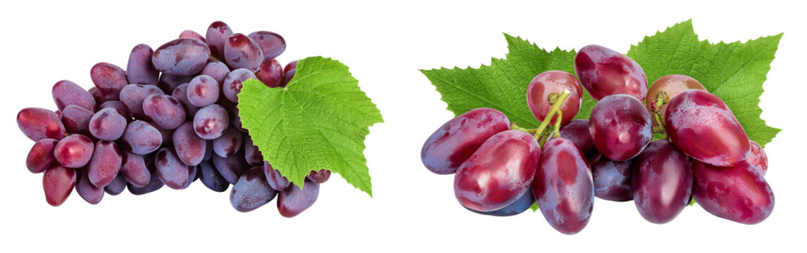 Red grape berry bunch isolated on white background