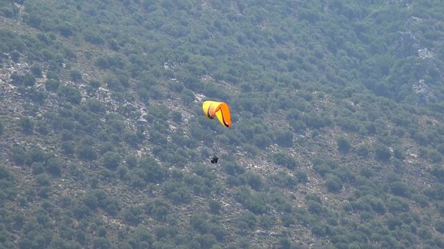 Orange yellow paraglider flying above dense green forest landscape. Solo canopy glides woodland, outdoor recreation, travel adventure, vivid summertime energy.