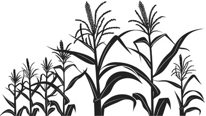 Obraz premium Vector illustration of a corn field