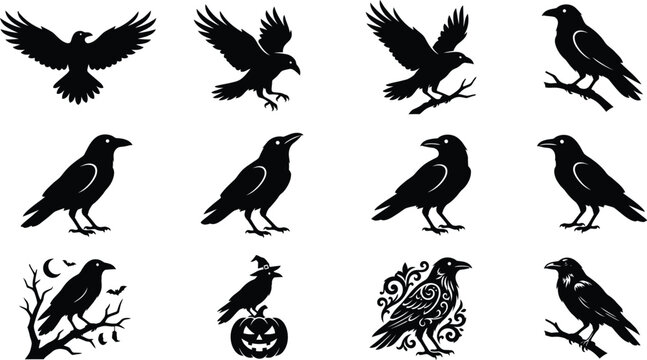 Collection of black crow silhouettes for halloweeen design projects featuring various poses and spooky bird illustrations
