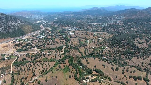 Aerial drone view shows Aegean landscape in Greece with olive groves and dry summer hills. Mediterranean terrain combines shrubs sparse forests warm climate valleys beneath bright weather.