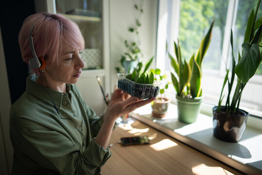 Woman wearing headphones holds zamioculcas cuttings near houseplants and bright window at home, practicing indoor gardening, sustainable propagation, mindful plant care and relaxing wellness routine.