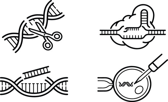 Genetics and crispr gene editing line icons representing dna modification biotechnology research and modification