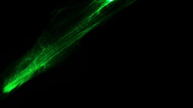 Abstract dinamic green laser light beam reflection on a dark background.