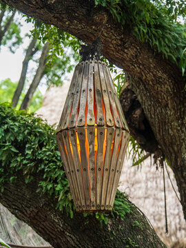 Wooden lantern with a glowing orange light hanging from the tree branch, surrounded by green fern leaves, creating a cozy garden decor.