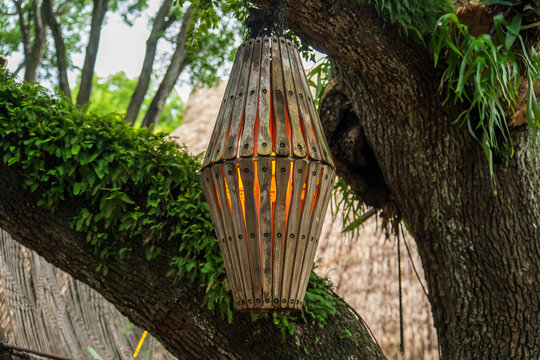 Handmade wooden lantern with a glowing light hanging from the tree branch with green fern leaves representing a cozy rustic garden decor.