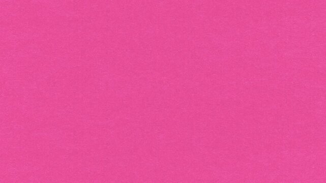 Moving Vibrant Pink Paper Texture Seamless Loop in 4K, Animated Background Asset
