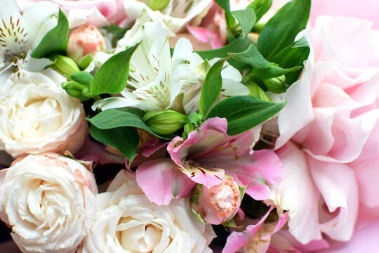 Delicate pink blooming roses and alstroemeria, a soft pastel background with blossoming flowers and green leaves. Wedding bouquet, floral card. Selective focus, shallow depth of field.