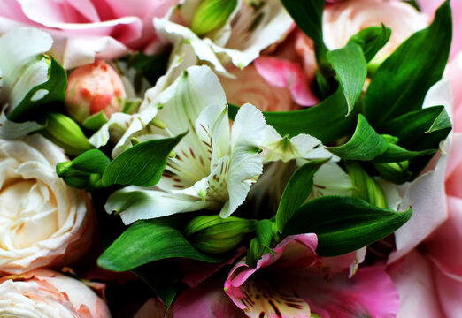 Delicate pink blooming roses and alstroemeria, a soft pastel background with blossoming flowers and green leaves. Wedding bouquet, floral card. Selective focus, shallow depth of field.