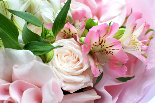 Delicate pink blooming roses and alstroemeria, a soft pastel background with blossoming flowers and green leaves. Wedding bouquet, floral card. Selective focus, shallow depth of field.
