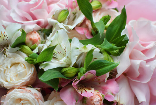 Delicate pink blooming roses and alstroemeria, a soft pastel background with blossoming flowers and green leaves. Wedding bouquet, floral card. Selective focus, shallow depth of field.