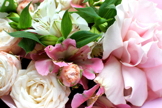 Delicate pink blooming roses and alstroemeria, a soft pastel background with blossoming flowers and green leaves. Wedding bouquet, floral card. Selective focus, shallow depth of field.