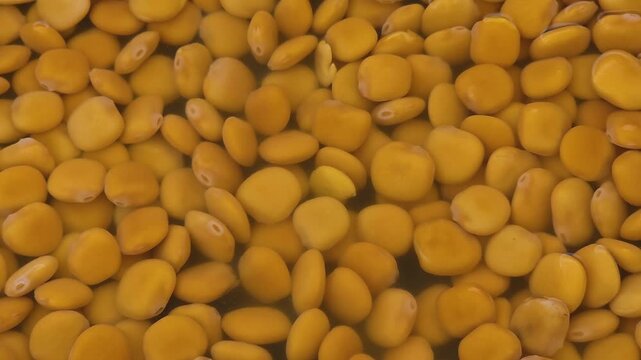 Top view camera panning over a vat of pickled lupini beans floating in salted brine at a traditional Spanish market street stall