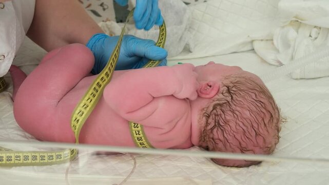 Medical professional in blue gloves using a measuring tape to check the body parameters of a newborn infant lying in a hospital crib shortly after birth for a routine health examination