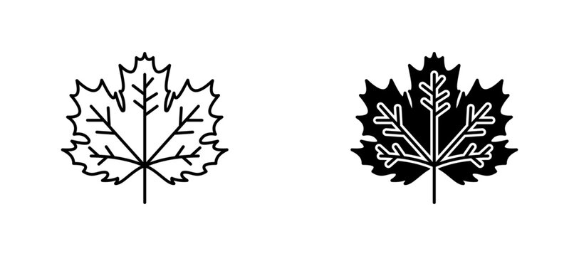 Maple leaf icon flat outline in black