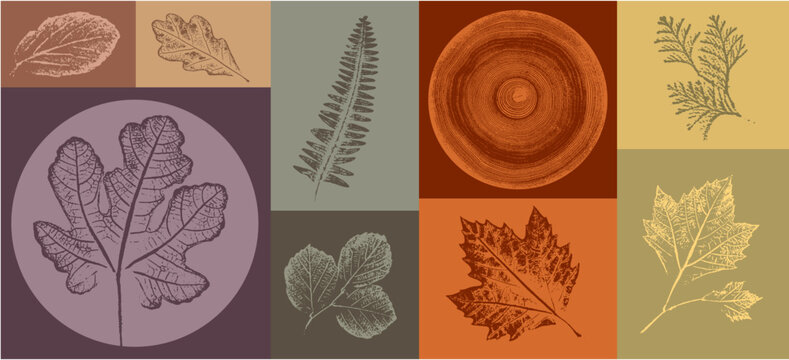 Boho leaf sketch art with fall autumn colors. Decorative print or natural background. Boho style print for card or invitation design.