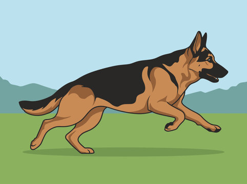 German Shepherd Dog Running Dynamic Motion Outdoors
