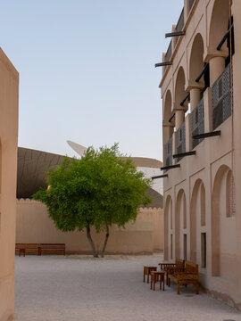 Lush native Sidra tree growing beside traditional mud-brick palace architecture in the landscaped gardens of National Museum of Qatar.
